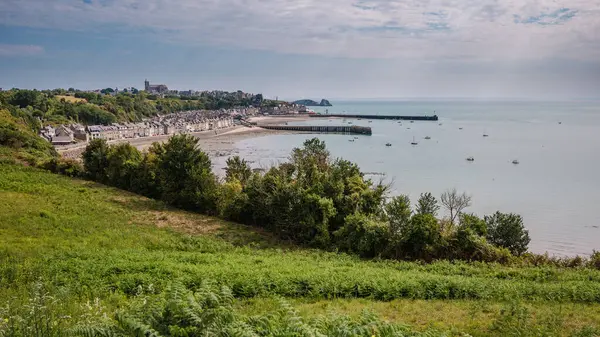 Sahili, rıhtımı, tarihi evleri ve katedrali ile Fransa 'nın Cancale kentinin manzarası