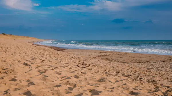 Atlantik kıyısında altın bir saat, neredeyse hiç insan olmayan kumlu bir sahil..