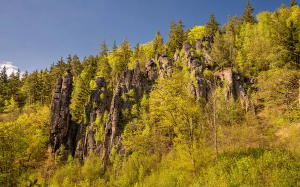 Svatosk Çek Cumhuriyeti 'nde Karlovy Vary yakınlarında