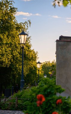 Vyehrad Parkı 'nda Baharın Ortasında Tarihi Lamba