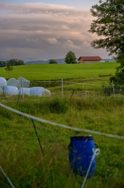 Avusturya sınırı yakınlarındaki Bavyera çiftliğinin huzurlu bir manzarası. Bulutlu bir gökyüzünün altında, yemyeşil tarlalarla çevrili ahşap bir ahır var.. 