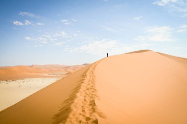 Sossusvlei 'nin güzel kumulları. Namibya' da ölü ağaçlar, sürüngenler ve mavi gökyüzü.