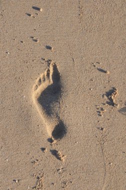 Kumlu bir sahilde yaz sabahı yürüyüşünden ayak izleri.
