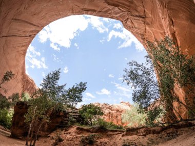 Utah 'taki Grand Staircase-Escalante Ulusal Anıtı' ndaki Jacob Hamblin kemerini görmek için Coyote Vadisi 'nde yürüyüş yapmak.