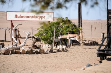 Kolmanskop, namibya - 04.29.2018 - yaylı kolmanskop işareti