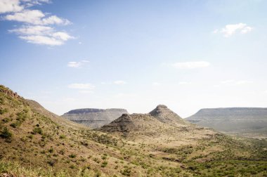 Grootberg Kunene 'den Kamanjab' a pas veriyor, Namibya 'da bahar zamanı çöl yeşile dönüyor.