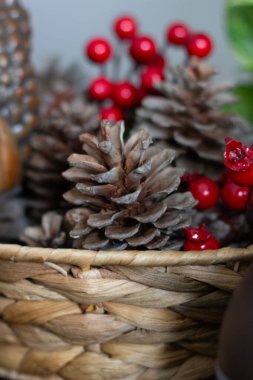 Sincap dizisi üzerinde Sonbahar düzenlemesi, basit, doğal