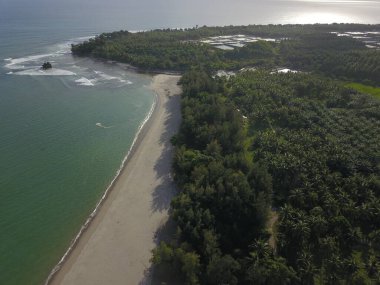 İnsansız hava aracıyla çekilen yoğun ormanlık kıyı şeridi dalgalar ve uzun kumsal kumları gösteriyor.