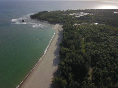 İnsansız hava aracıyla çekilen yoğun ormanlık kıyı şeridi dalgalar ve uzun kumsal kumları gösteriyor.