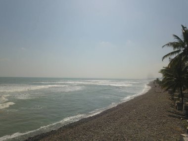 Yukarıdan insansız hava aracı tarafından alınan kıyı şeridi dalga ve ağaçları gösteriyor.