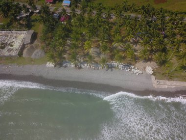 Yukarıdan insansız hava aracı tarafından alınan kıyı şeridi dalga ve ağaçları gösteriyor.