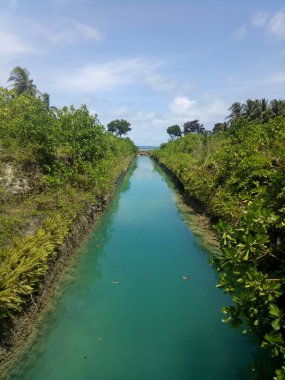 Yeşil nehir, gölet ihtiyaçları için bir deniz suyudur.