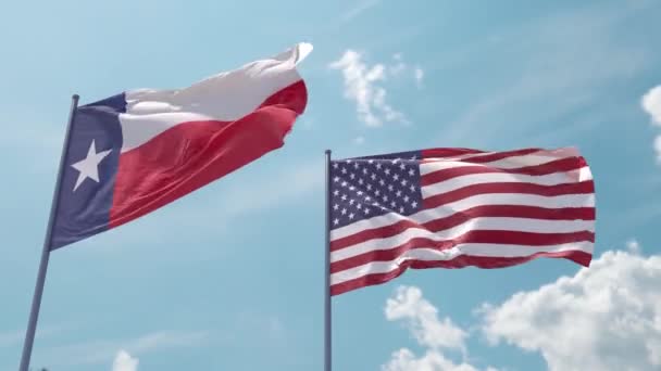 Teksas Abd Bayrak Direğinde Güçlü Bir Rüzgarda Mavi Gökyüzünde Ekran — Stok video