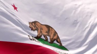 Kaliforniya bayrağının rüzgarda sallanması arka planda veya girişte, Kaliforniya eyaletinin bayrağı yavaş hareket animasyonu gerçekçi. Kaliforniya Eyaleti 4k çözünürlüğü Kapatın