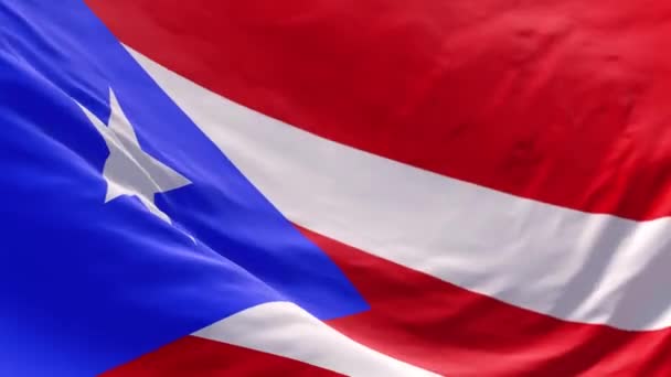 Флаг Пуэрто Рико Размахивающий Ветру Фон Вступление Флаг Пуэрто Рико — стоковое видео
