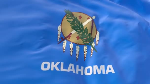 Oklahoma Flag Waving Wind Background Intro State Oklahoma Flag Slow — Stock Video