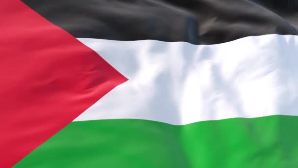 Palestina Vlajka Vlnící Větru Jako Pozadí Pro Intro Stav Palestinské Royalty Free Stock Záběr