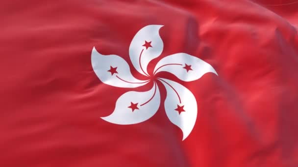 Hong Kong Vlajka Vlnící Větru Jako Pozadí Pro Intro Hong Royalty Free Stock Video