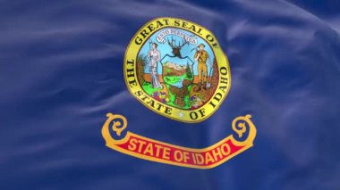 Arka planda rüzgarda dalgalanan Idaho bayrağı. Projeler için harika bir giriş. Idaho eyaleti bayrağı yavaş 3 boyutlu animasyon Gerçekçi Yakın Çekim