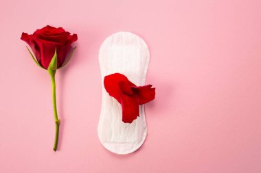 Kırmızı parıltılı ve gül çiçekli kadın hijyen yastığı. Pembe arka planda ilk adet dönemi konsepti.