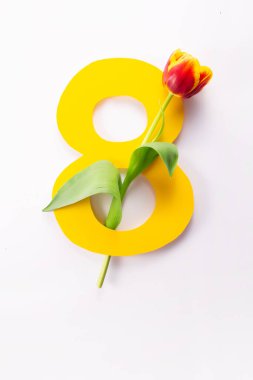 Uluslararası Kadınlar Günü tebrik kartı. 8 Mart konsepti. Beyaz arka planda kağıt sarısı sekiz numara lale. Boşluğu kopyala.
