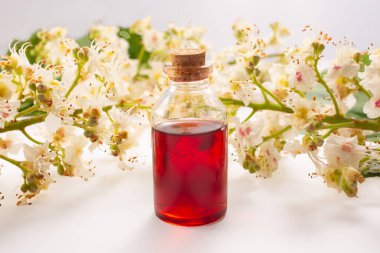 Kavanozda at kestanesi çiçeği tentürü. Ev yapımı bitkisel tentür. Düz yatıyordu. Yüksek kalite fotoğraf