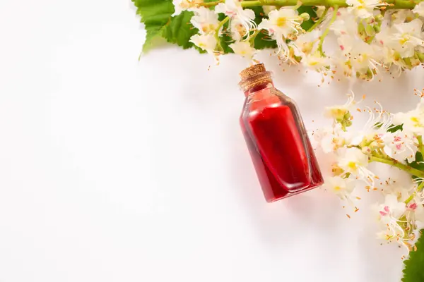 Kavanozda at kestanesi çiçeği tentürü. Ev yapımı bitkisel tentür. Düz yatıyordu. Yüksek kalite fotoğraf