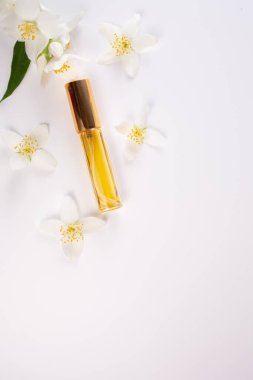 Yasemin gerekli ve Yasemin çiçekleri beyaz arka planda. Uzayı kopyala Düz yatıyordu. Yüksek kalite fotoğraf