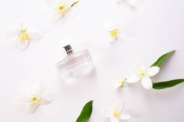 Yasemin çiçekleri, kabuk ve parfüm şişesi beyaz arka planda. Düz yatıyordu. Uzayı kopyala Yüksek kalite fotoğraf