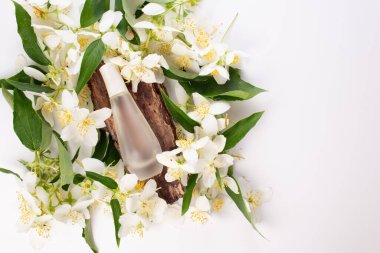 Yasemin şart, kabuk ve yasemin çiçekleri beyaz arka planda. Saç tedavisi. Düz yatıyordu.