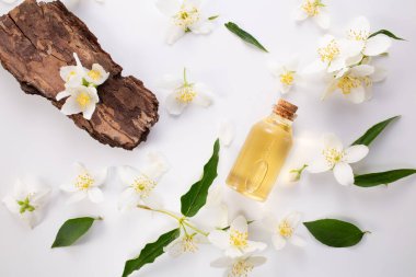 Yasemin gerekli ve Yasemin çiçekleri beyaz arka planda. Uzayı kopyala Düz yatıyordu. Yüksek kalite fotoğraf