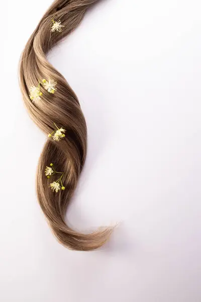 Linden çiçekleri. Saç tedavisi konsepti. Düz yatıyordu. Uzayı kopyala Yüksek kalite fotoğraf