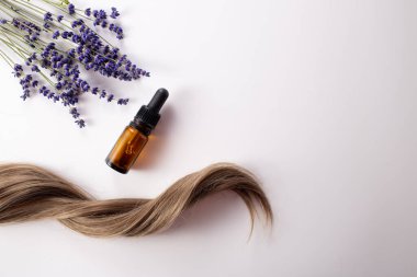 Taze levanta çiçekleri, bir şişe zaruri ve beyaz arka planda saç. Saç tedavisi konsepti. Düz yatıyordu. Uzayı kopyala Yüksek kalite fotoğraf