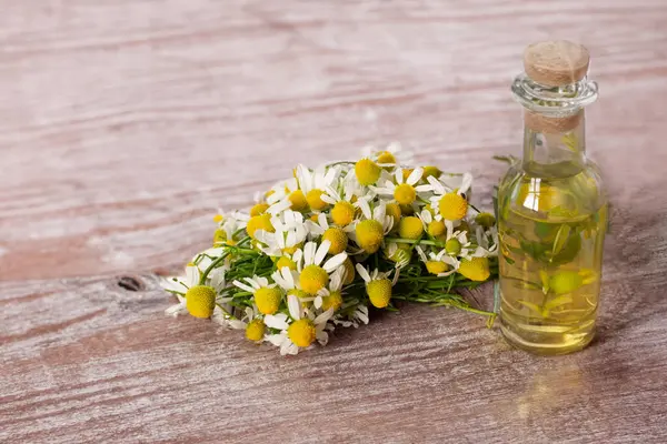 stock image Fresh chamomile flowers and camomile essential oil on the wooden background. Hair treatment concept. Close up. High quality photo