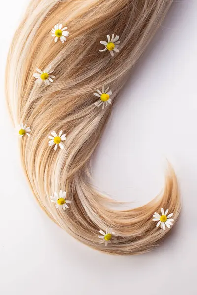 Taze kestane çiçekleri ve beyaz arka planda izole edilmiş saçlar. Saç dökülmesi konsepti. Düz yatıyordu.