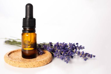 Beyaz arka planda taze levanta ve çiçek şişesi. Saç tedavisi konsepti. Kapat. Uzayı kopyala.