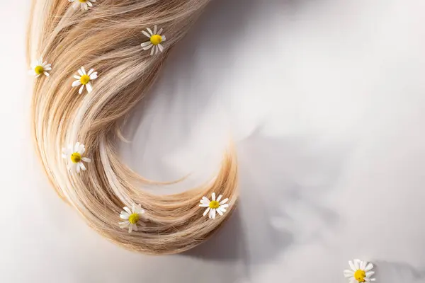 Taze kestane çiçekleri ve beyaz arka planda izole edilmiş saçlar. Saç dökülmesi konsepti. Düz yatıyordu. Boşluğu kopyala.