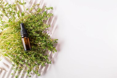 Taze kekik ve beyaz arka planda gerekli yağ. Saç tedavisi konsepti. Uzayı kopyala Düz yatıyordu.