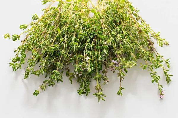 Beyaz arka planda taze kekik. Saç tedavisi konsepti. Uzayı kopyala Düz yatıyordu.