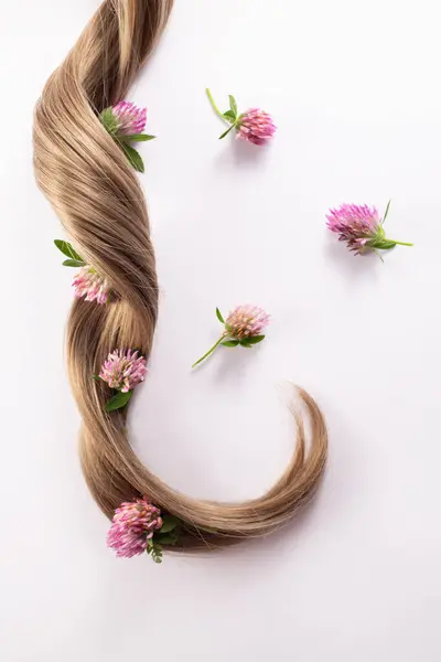 Yonca çiçeği ve saç. Saç tedavisi konsepti. Düz yatıyordu. Boşluğu kopyala.