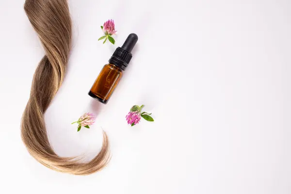 Yonca çiçekleri, saç ve gerekli yağ. Saç tedavisi konsepti. Düz yatıyordu. Boşluğu kopyala.