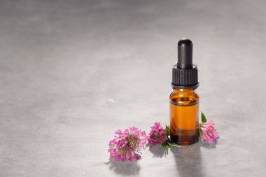 Yonca çiçekleri ve gri arka planda saçlar. Saç tedavisi konsepti. Kapatın. Boşluğu kopyala.