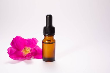 Beyaz arka planda izole edilmiş temel ve çiçek. Sağlıklı. Uzayı kopyala Kapatın. Yüksek kalite fotoğraf