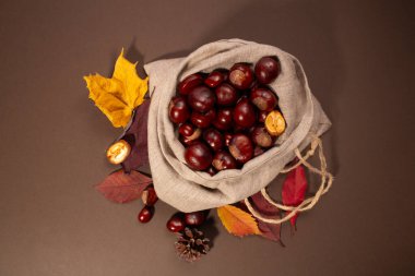 Kahverengi arka planda keten poşette taze kestaneler