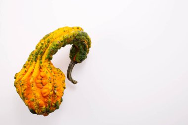  Beyaz arka planda balkabağı. Şükran Günü, cadılar bayramı konsepti. Uzayı kopyala Düz yatıyordu