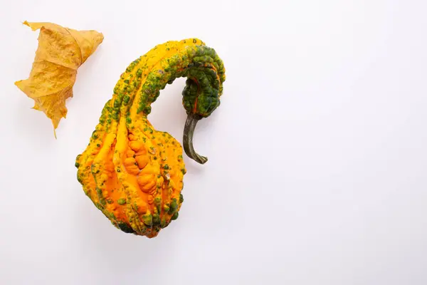 Beyaz arka planda kuru yapraklar ve balkabaklarından sonbahar dekorasyonu. Düz yatıyordu. Şükran Günü, Cadılar Bayramı konsepti