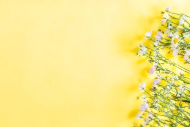 Sarı arka planda papatya çayı düzlüğü vardı. Anneler Günü tebrik kartı şablonu. Boşluğu kopyala.