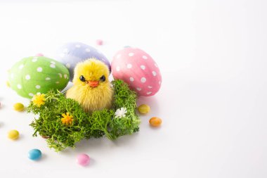 Beyaz arka planda yumurta ve sarı piliçler. Minimum konsept. Boşluğu kopyala.