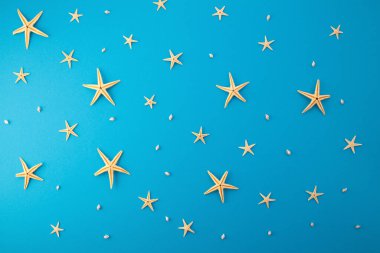 Mavi arka planda deniz yıldızları ve deniz kabukları. Düz konum, kopyalama alanı. Tatil konsepti. Yüksek kalite fotoğraf