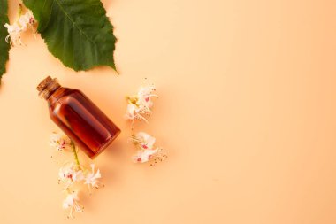 Kavanozda at kestanesi çiçekleri bej arka planda kestane çiçekleri. Tedavi konsepti. Uzayı kopyala Düz yatıyordu